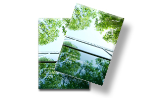 Annual report 2020